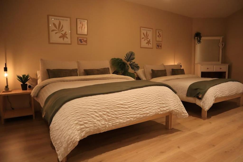 Modern Studio Apartment In Cashel Кашел Экстерьер фото